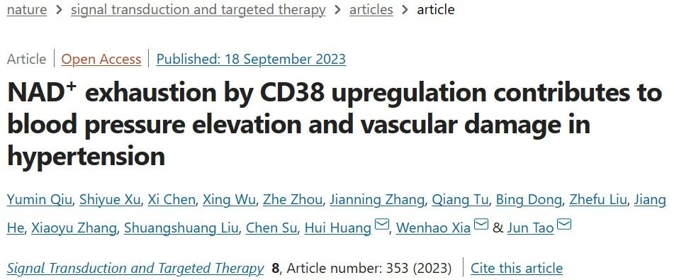 STTT陶军/夏文豪/黄辉教授团队发现高血压治疗新靶点