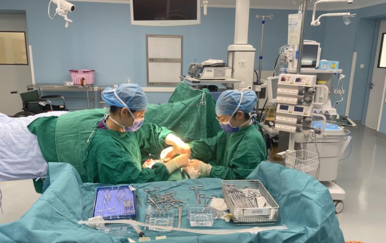 皇冠足球投注网
肾内科肢体静脉动脉化术为患者带来希望