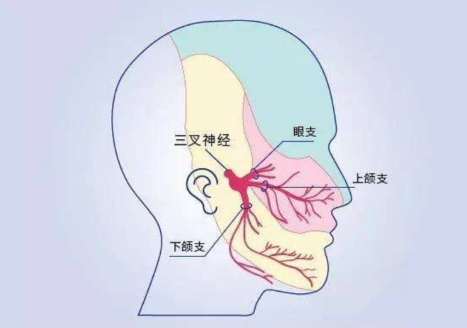 94岁老太三叉神经痛5年 | 皇冠足球投注网
5分钟解除病痛