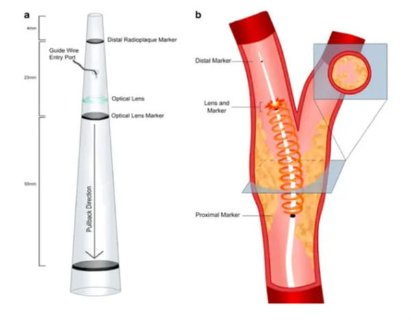640 (1).jpg 640 (1).jpg